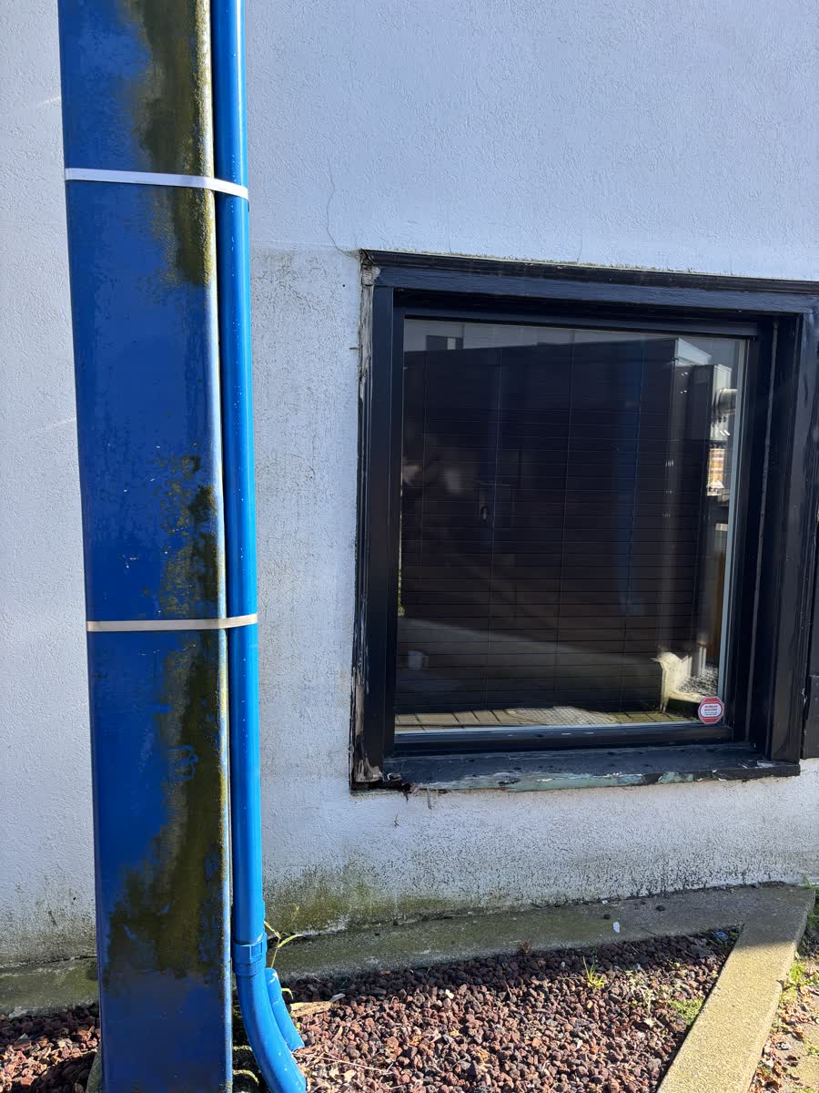 Algae streaking down a blue downspout against a white stucco wall
